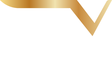Professional racing team - Vracing
